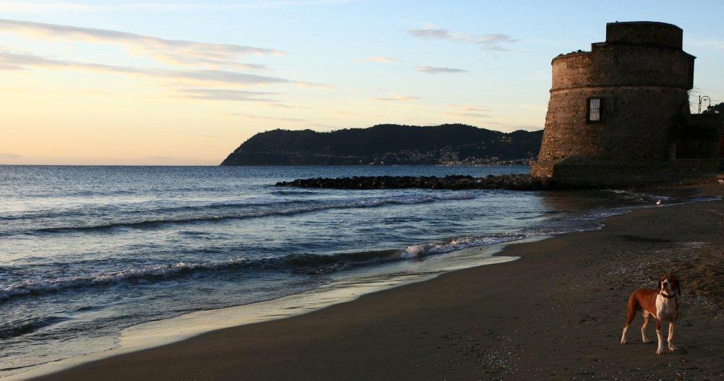 Hotel Badano Sul Mare Alassio